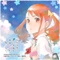 クリーナークロス（578円） (C)ANOHANA PROJECT (C)超平和バスターズ・泉 光／集英社