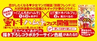 「こんちわハム子」1・2巻と「蜜ドキパルフェ」2巻に付属する帯。