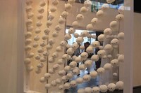 会場には、なもりくらげがたくさん。