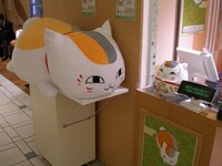 巨ぐるみーと高崎だるまの実物も展示されている。