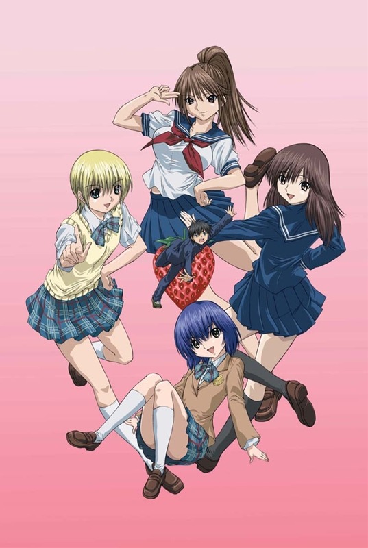 アニメ「いちご100%」ビジュアル (C)河下水希・集英社/いちご100％製作委員会