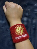 「黒曜谷高校ストレイドッグス」リストバンドのリベロレッド。