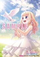 そのほかの一部書店で配布される、カラーブロマイド。