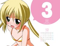 日めくりカレンダーのサンプル。