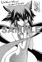 とらのあな特典