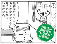 「クマのプー太郎 もう半分」には、もちろん最終回も収められている。