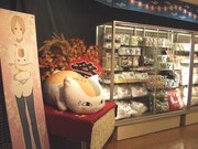 夏目友人帳ショップが上野に、ニャンコ先生の缶バッジ贈呈