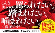 「CRIMEZONE‐クリム・ゾン‐」のPOP。