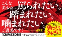 「CRIMEZONE‐クリム・ゾン‐」のPOP。