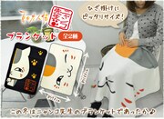 ニャンコ先生のブランケット。(c)緑川ゆき・白泉社/「夏目友人帳」制作委員会