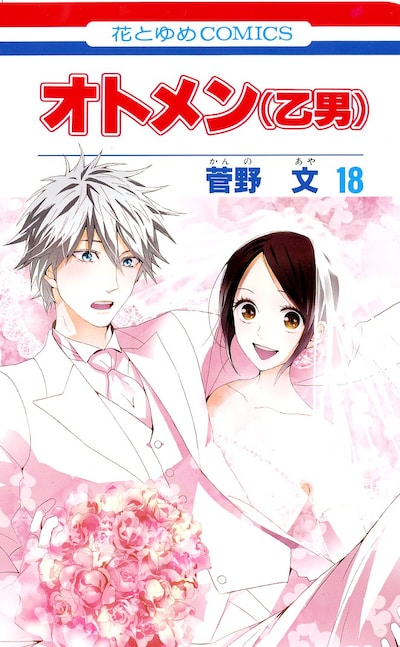 「オトメン（乙男）」最終18巻