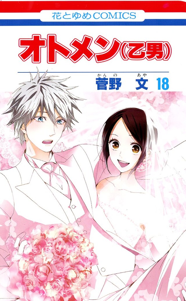 「オトメン（乙男）」最終18巻