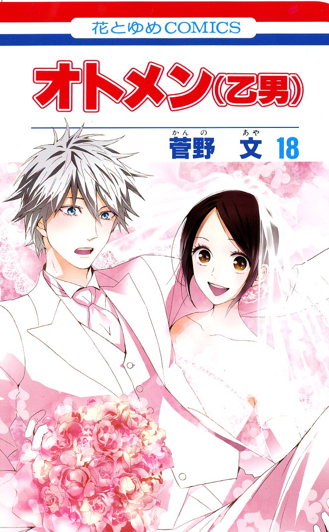 「オトメン（乙男）」最終18巻