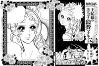 「王妃様のストップ！消費マグネット」