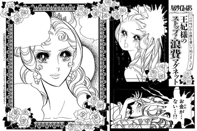 「王妃様のストップ！消費マグネット」