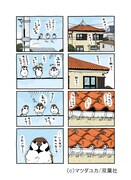 「きょうのスー」第1回より。