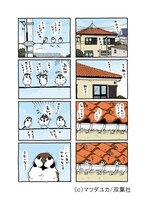 「きょうのスー」第1回より。