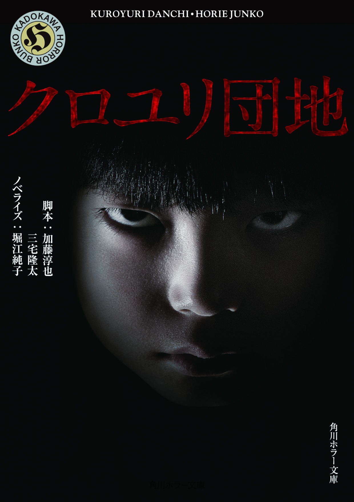 加藤淳也・三宅隆太脚本、堀江純子ノベライズ「クロユリ団地」 (C)2013「クロユリ団地」製作委員会