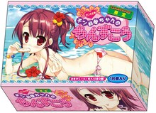 「チン好娘（すこ）ちゃんのちんすこう」パッケージのイメージ。(C)ANIBRO GAMERS  Illustration：藤真拓哉