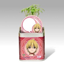 「主人公セット」の「アリババ：ヒマワリ」。 (C)大高忍／小学館・マギ製作委員会・MBS