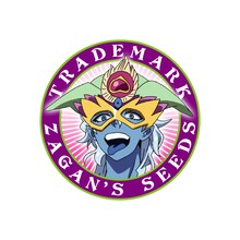 ザガンのビジュアル。 (C)大高忍／小学館・マギ製作委員会・MBS