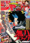 江戸を舞台に合気柔術の道場当主描く新連載、ジャンプで
