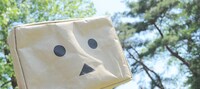 「ダンボーのポーチ」(C)KIYOHIKO AZUMA / YOTUBA SUTAZIO