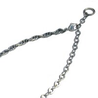 「鏃大ネックレス」(c)LUCKY LAND COMMUNICATIONS / SHUEISHA