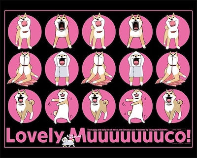 「いとしのムーコ」の壁紙。 (c)Takayuki MIZUSHINA / KODANSHA