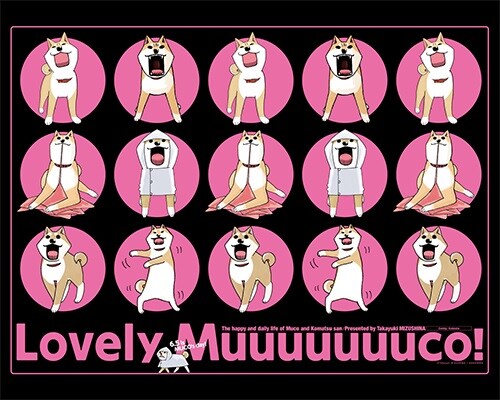 「いとしのムーコ」の壁紙。 (c)Takayuki MIZUSHINA / KODANSHA