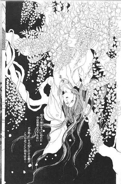 花郁悠紀子「不死の花」より。