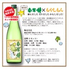 もやしもん純米酒、1年かけてついに完成！明日から販売開始