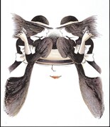 「顔のない女」(c)高橋葉介/早川書房