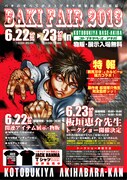 「BAKI FAIR 2013」