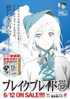 「ブレイクブレイド」12巻の告知画像。