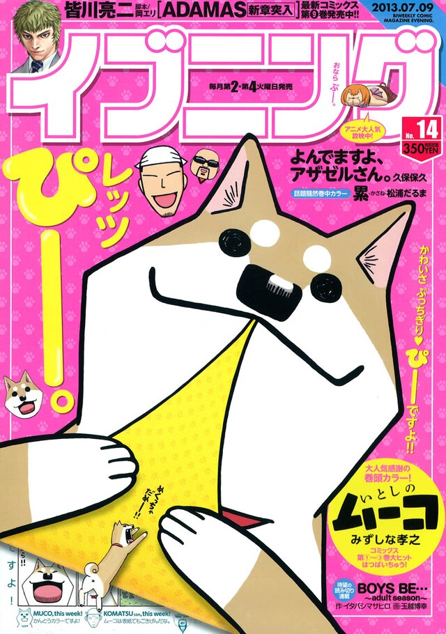 イブニング14号