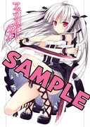 「アブソリュート・デュオ」の掛け替えカバー。