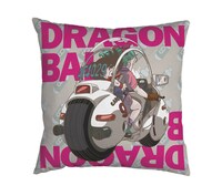 D賞「クッション」のオモテ面。(c)バードスタジオ/集英社・フジテレビ・東映アニメーション