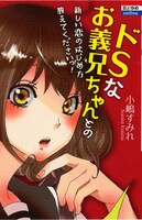 小嶋すみれ「ドSなお義兄ちゃんとの新しい恋のはじめ方教えてくださいっ！」