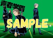 小冊子「青春学園～Green Days～」。