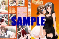 コミックとらのあな限定特典のDVDトールケース。10巻初回限定版のゲームディスクが収納できる。