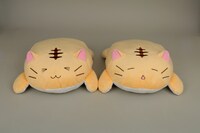 左がWonderGOOバージョン、右が通常バージョン。