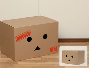 「ダンボールボックス」のセガ店舗限定版（画像左）。
