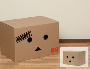 「ダンボールボックス」のタイトー店舗限定版（画像左）。