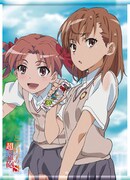 「描き下ろしタペストリー」の1種類。(c)鎌池和馬/冬川基/アスキー・メディアワークス/PROJECT-RAILGUN S (c)やおきん