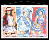 「蒼き鋼のアルペジオ」のタペストリー。4000円。