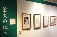 「蛍火の杜へ」の原画。