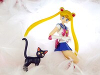 「Soldier 部門」の作例。(c)武内直子・PNP・東映アニメーション (c)Naoko Takeuchi