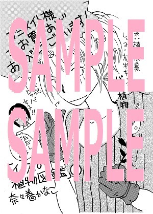アニメイト各店にて配布されるペーパー。