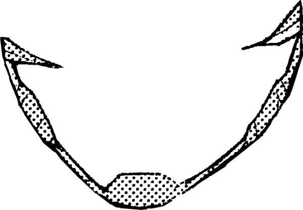 「テラフォーマーズ」パーツの一例。(c)貴家悠・橘賢一/集英社